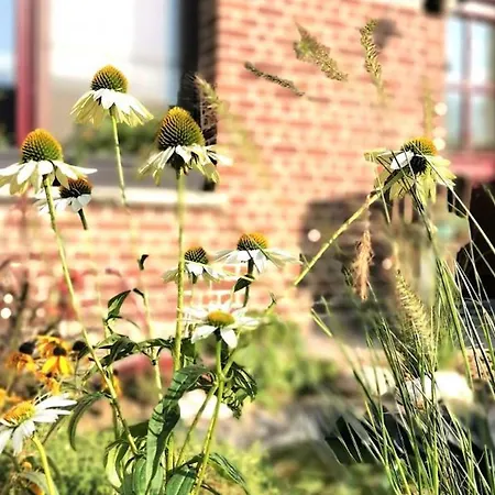 Maison Confortable Avec Jardin En Flandres, Proche Belgique, Ideale Famille Et Nature - Fr-1-510-200 Prázdninový dům *